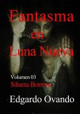 Fantasma en Luna Nueva (Volumen 03). Silueta Borrosa (eBook, ePUB)
