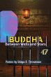 Buddha Between Walls and Stars (eBook,... - Bild 1