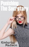 Punishing The Secretary (eBook, ePUB) Punishing The Secretary (eBook, ePUB)
