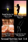 Sexual Service Act 1-4 (eBook, ePUB)