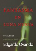 Fantasma en Luna Nueva (Volumen 01) Del más allá, al menos cá. (eBook, ePUB)