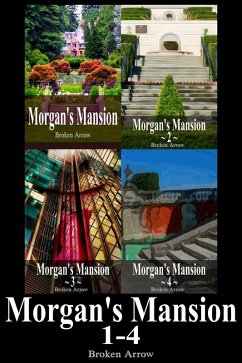 Morgan's Mansion 1-4 (eBook, ePUB) - Arrow, Broken