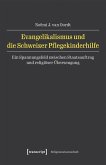Evangelikalismus und die Schweizer Pflegekinderhilfe (eBook, PDF)
