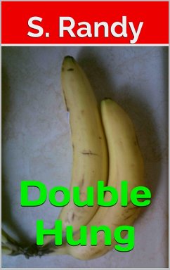 Double Hung (eBook, ePUB) - Randy, S.