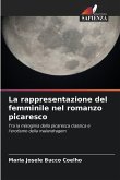 La rappresentazione del femminile nel romanzo picaresco La rappresentazione del femminile nel romanzo picaresco