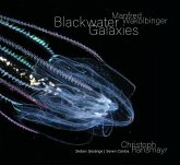 Manfred Wakolbinger - Blackwater Galaxies Manfred Wakolbinger - Blackwater Galaxies