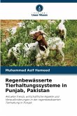 Regenbewässerte Tierhaltungssysteme in Punjab, Pakistan