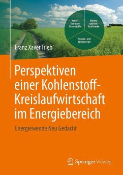 Cover Perspektiven einer Kohlenstoffkreislaufwirtschaft im Energiebereich