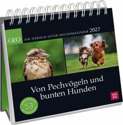 Cover Postkartenkalender 2027: Von Pechvögeln und bunten Hunden