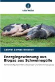 Energiegewinnung aus Biogas aus Schweinegülle Energiegewinnung aus Biogas aus Schweinegülle