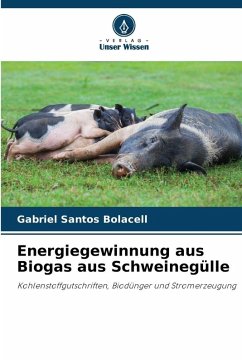 Energiegewinnung aus Biogas aus Schweinegülle - Santos Bolacell, Gabriel Energiegewinnung aus Biogas aus Schweinegülle - Santos Bolacell, Gabriel