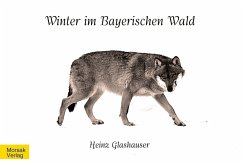 Cover Winter im Bayerischen Wald