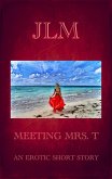 Meeting Mrs. T: An Erotic Short Story (Mrs. T - An American Woman: Short Erotic Stories, #1) (eBook, ePUB)