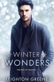Winter Wonders: Friends of Friends 1 (eBook, ePUB)