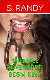 Shemale Adventure: BDSM Kink (eBook, ePUB)