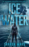 Ice Water (The Fin Fleming Scuba Diving Mystery Series, #9) (eBook, ePUB)