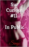 Sue Curious #11: In Public (eBook, ePUB) Sue Curious #11: In Public (eBook, ePUB)