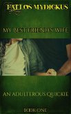 My Best Friend's Wife - An Adulterous Quickie-Book One (eBook, ePUB)