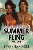 Summer Fling - Part One (eBook, ePUB)