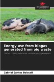 Energy use from biogas generated from pig waste
