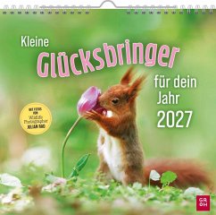 Cover Wandkalender 2027: Kleine Glücksbringer für dein Jahr
