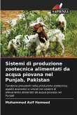 Sistemi di produzione zootecnica alimentati da acqua piovana nel Punjab, Pakistan