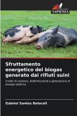 Sfruttamento energetico del biogas generato dai rifiuti suini