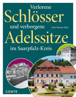 Cover Verlorene Schlösser und verborgene Adelssitze im Saarpfalz-Kreis