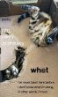 wh@t - Bild 1