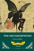 The Metamorphosis   Timeless Classics