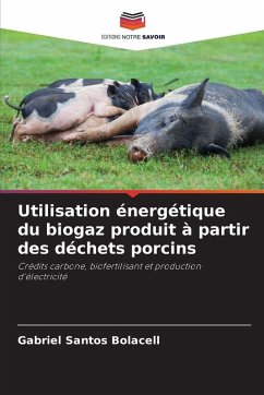 Utilisation énergétique du biogaz produit à partir des déchets porcins - Santos Bolacell, Gabriel Utilisation énergétique du biogaz produit à partir des déchets porcins - Santos Bolacell, Gabriel