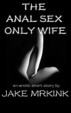 The Anal Sex Only Wife (eBook, ePUB)