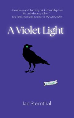 A Violet Light (eBook, ePUB) - Sternthal, Ian