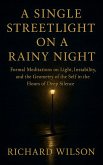 A Single Streetlight on a Rainy Night (eBook, ePUB)