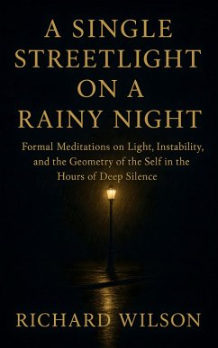 Cover A Single Streetlight on a Rainy Night (eBook, ePUB)