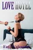 Love Hotel (eBook, ePUB)