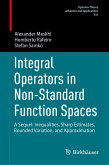 Integral Operators in Non-Standard Function Spaces (eBook, PDF)