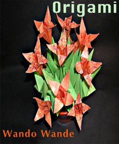 Cover Origami (eBook, ePUB)
