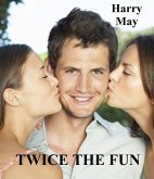 Twice The Fun (Fun Times, #1) (eBook, ePUB)