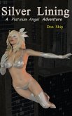 Platinum Angel: Silver Lining (eBook, ePUB)