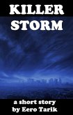 Killer Storm (eBook, ePUB)