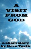 A Visit From God (eBook, ePUB)