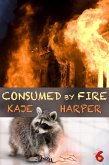 Consumed by Fire (Necromancer, #6) (eBook, ePUB)