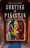 Surfing in Pakistan (eBook, ePUB)