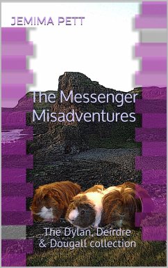 Cover The Messenger Misadventures (eBook, ePUB)