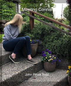 Cover Meeting Connie (eBook, ePUB)