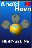 Herindeling (eBook, ePUB)