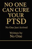 NO ONE CAN CURE YOUR PTSD No One Just Arrived (eBook, ePUB)