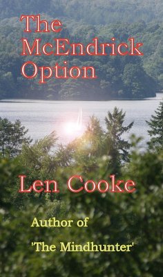 Cover The McEndrick Option (The Kate Hoagan Investigations, #2) (eBook, ePUB)
