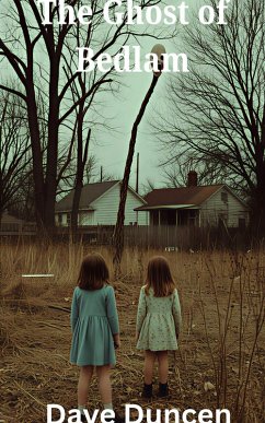 Cover The Ghost of Bedlam ( A Horror Novel) (eBook, ePUB)